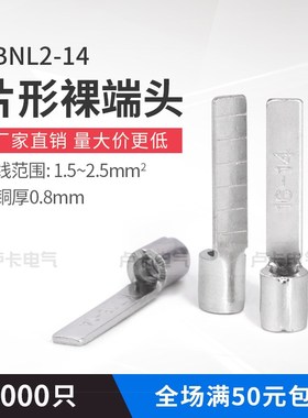 片形裸端头DBNL2-14 冷压端子 冷压接线端子 紫铜 1000只/包