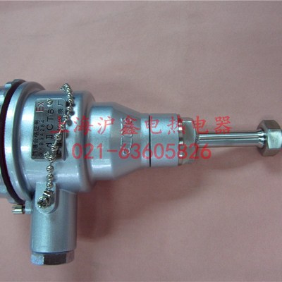 上海CT6级铠装防爆热电偶 Pt100热电阻 BT4温度传感器 螺纹304