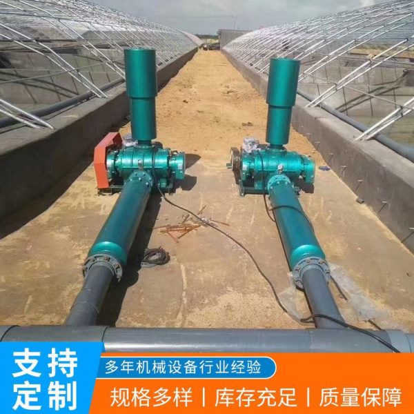 供应 污水处理水产养殖真空泵 吹吸两用气力输送罗茨鼓风机