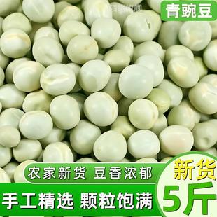 新货生青豌豆5斤 农家青豌豆生干豌豆粒杂粮麦豆焖饭煮粥煲汤干货