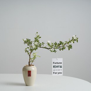 造型六月雪盆景绿植飘枝悬崖小盆栽植物办公茶室桌面观赏花卉摆件