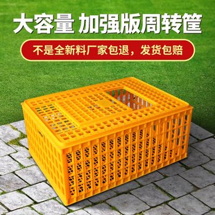 鸡塑料a筐鸡笼周转箱成鸡鸭鹅运输加厚大码 装 鸡笼鸡鸭鹅鸽笼运输
