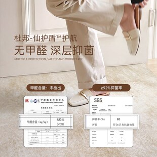 高级感入户门地垫地毯门垫进门大门口玄I关别墅防滑脚垫可裁剪定