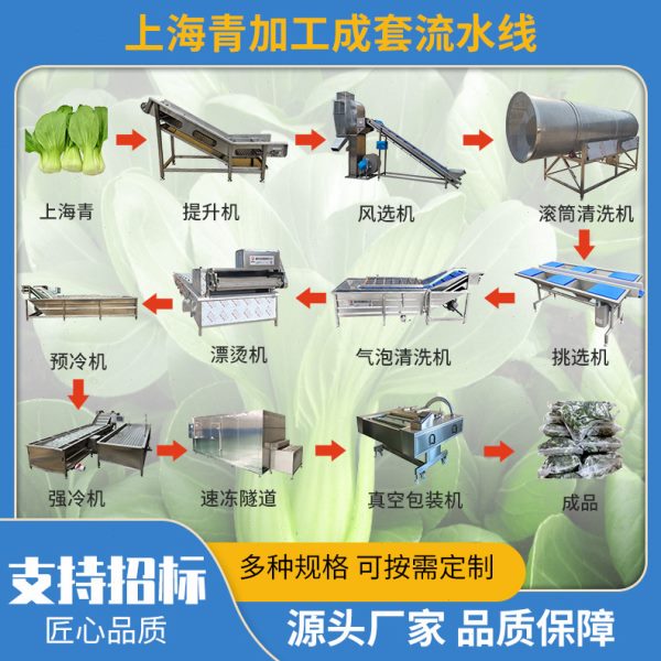 刺五加叶清洗加工设备 商用大型黄瓜香漂烫冷却机器整套流水线