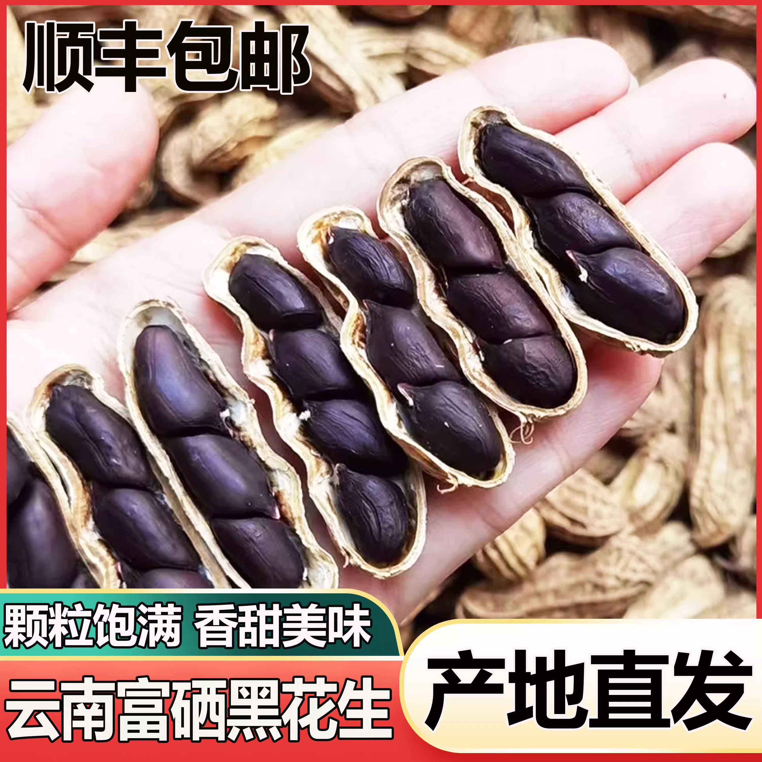 云南黑皮花生带壳富硒黑花生5斤10斤黑花生种籽子2025年新
