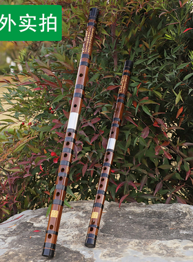 苦竹笛子精制演奏横笛曲笛梆笛大降BC升CD降EEFG小A调低高音乐器