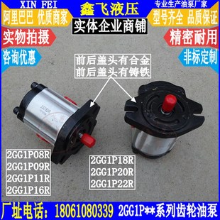 09R 2GG1P20R 11R 2GG1P18R 2GG1P22R齿轮泵 2GG1P16R 2GG1P08R