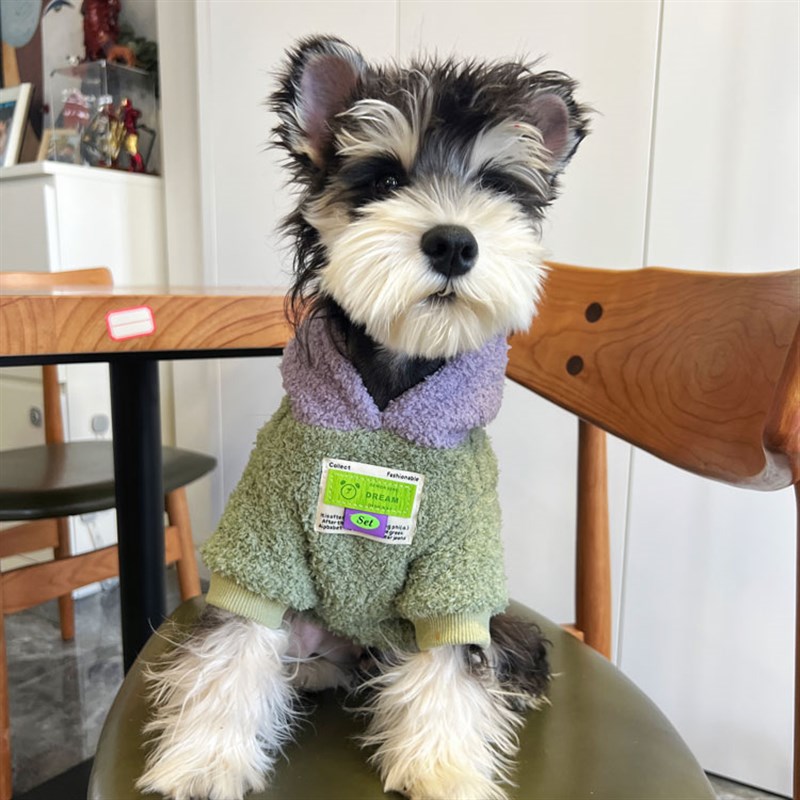 狗狗衣服冬季撞色毛绒保暖宠物衣服泰迪博美雪纳瑞小型犬加厚衣服