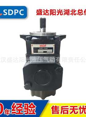 双联叶片泵 T6CC-025-005-1R00 电动液压油泵 性价比高