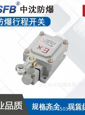 防爆行程开关BLX5防爆限位开关摇臂式柱塞式可调式滚轮柱塞式BZC