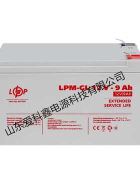 Logicpower蓄电池 LPM-GL12V-9AH 应急电源电池12V9AH