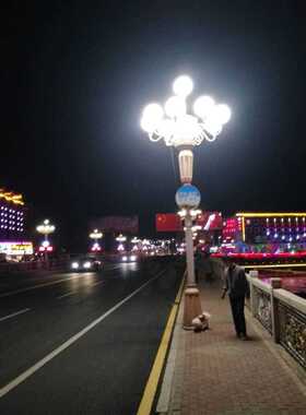 供应LED光源一体化50W中华灯球 直径400毫米内条纹黑色中华灯球