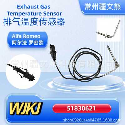51830621  排气温度传感器 尾气温度传感器 适用 Alfa Romeo EGT