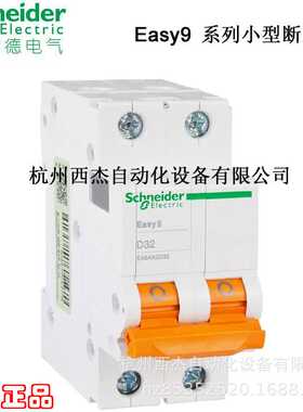 小型断路器,EA9AN 2P D63A；EA9AN2D63