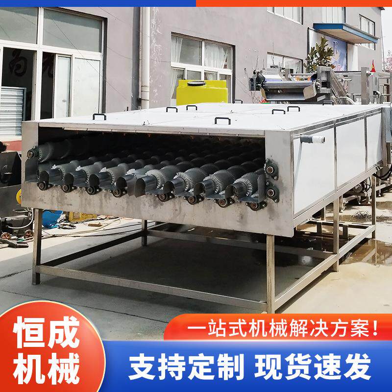白萝卜去泥毛刷清洗机大型莲藕土豆清洗设备红萝卜青萝卜清洗机器