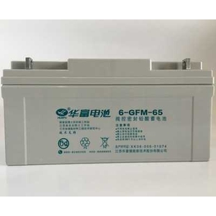 华富蓄电池12V65AH\6-GFM-65 光伏太阳能UPS直流屏计算机系统