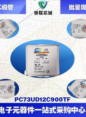 PC73UD13C450PA X302976 PC73UD13C500PA S302719法国罗兰熔断器