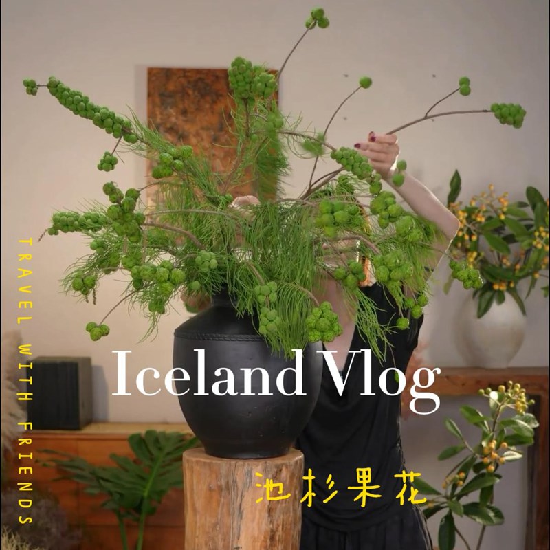 优选品质(池杉果)可做干 干燥花 洛羽杉果I水培鲜切枝 室内自然风