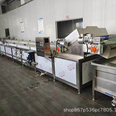 全自动大型果蔬清洗漂烫流水线红枣清洗生产线海鲜清洗设备厂家,清洗/食品/商业设备,果蔬加工设备,淘宝优惠券,粉丝福利购,淘宝优惠卷