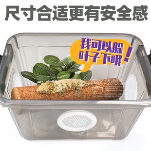 爬宠饲养箱爬虫防逃逸R属豹纹睫角巨人守宫透气蜘蛛角蛙饲养盒