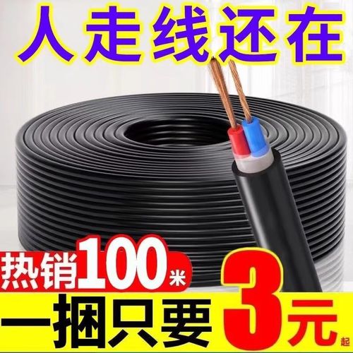 国标电线双芯电缆线1.5/2.5/4/6平方2芯大功率户外软线