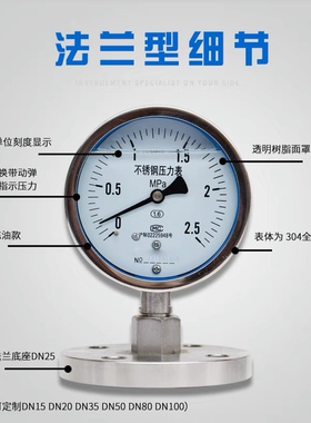 YTP100ML MF 不锈钢隔膜压力表 法兰压力表 膜片DN25 DN50 四氟
