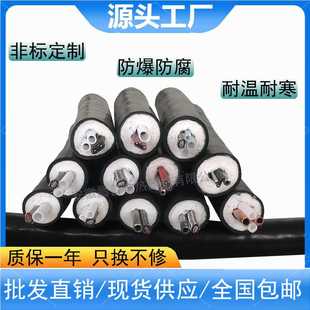 Ф8伴热管线170采样管缆50w60w 昌普烟气分析伴热管KHFHT D42