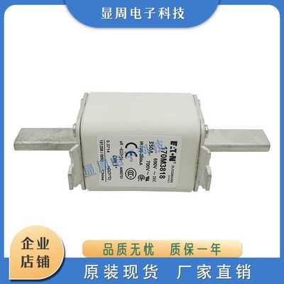 新熔断器170M3818D 3819D 3901 3902 3903 3904 3905 3906 3907