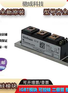 可控硅TT104N16KOF TT210N24KOF TT500N14KOF 新厂家直供量大价优