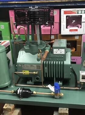 谷轮缸头风机比泽尔缸顶风扇马达微光YWF4D-250B吹风380V双网罩