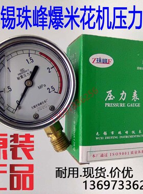 025MPA无锡珠峰爆米花压力表膨化机耐震防振抗冲击YN60保护开关
