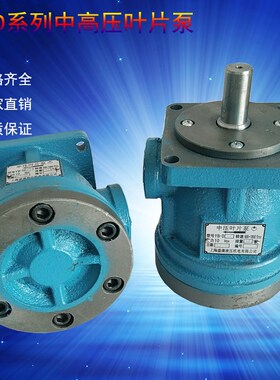 叶片油泵YBD6.3 YBD10 YBD12 YBD16 YBD20 D25 D32 D40 D63 D100