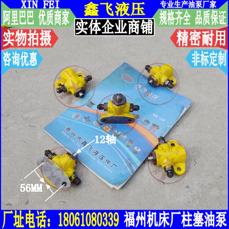 福州机床厂R13-1柱塞泵 车床润滑柱塞油泵 液压泵配件XQ6125