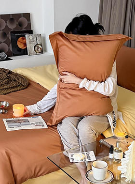 五星级酒店专用100支新疆长绒棉枕套单个全棉48cmxS74cm一对装拍2