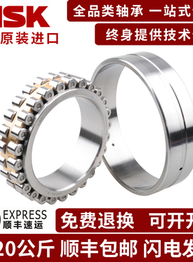 NSK圆柱滚子轴承N202 203 204 205 206 207 208W EW ET EM C3