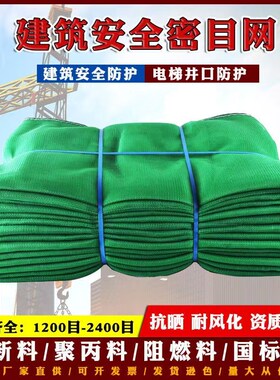 建筑外架安全网阻燃密目网电梯防坠网工地脚手架防护网绿色盖东莞