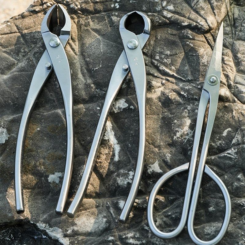 剪球钳球节础专业树瘤工具造型树节制作盆栽木盆景修剪钳养护园艺,鲜花速递/花卉仿真/绿植园艺,洒水/浇水壶,淘宝优惠券,粉丝福利购,淘宝优惠卷