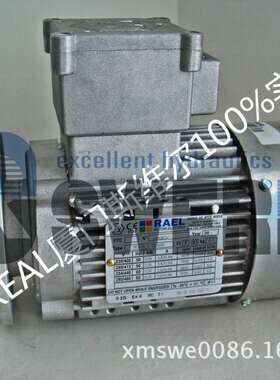 RL71A 2(RL0004) 意大利RAEL Motori Elettrici中国区服务中心