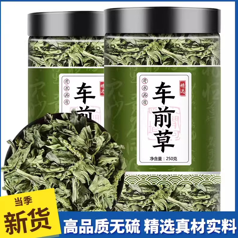 央妈推荐车前草中药材干货泡茶