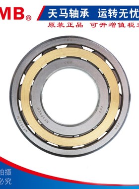 TMB天马轴承N NJ NU226 228 230 232 234 236 238 240 244EM/C3