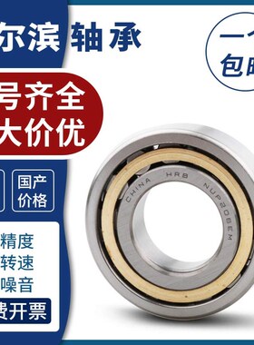 哈尔滨NUP2206 EM 短圆柱滚子轴承内径30mm外径62mm厚度20mm