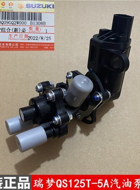 轻骑铃木踏板车瑞梦QS125T-5A汽油泵燃油喷油电喷PDP泵QS125T-6A