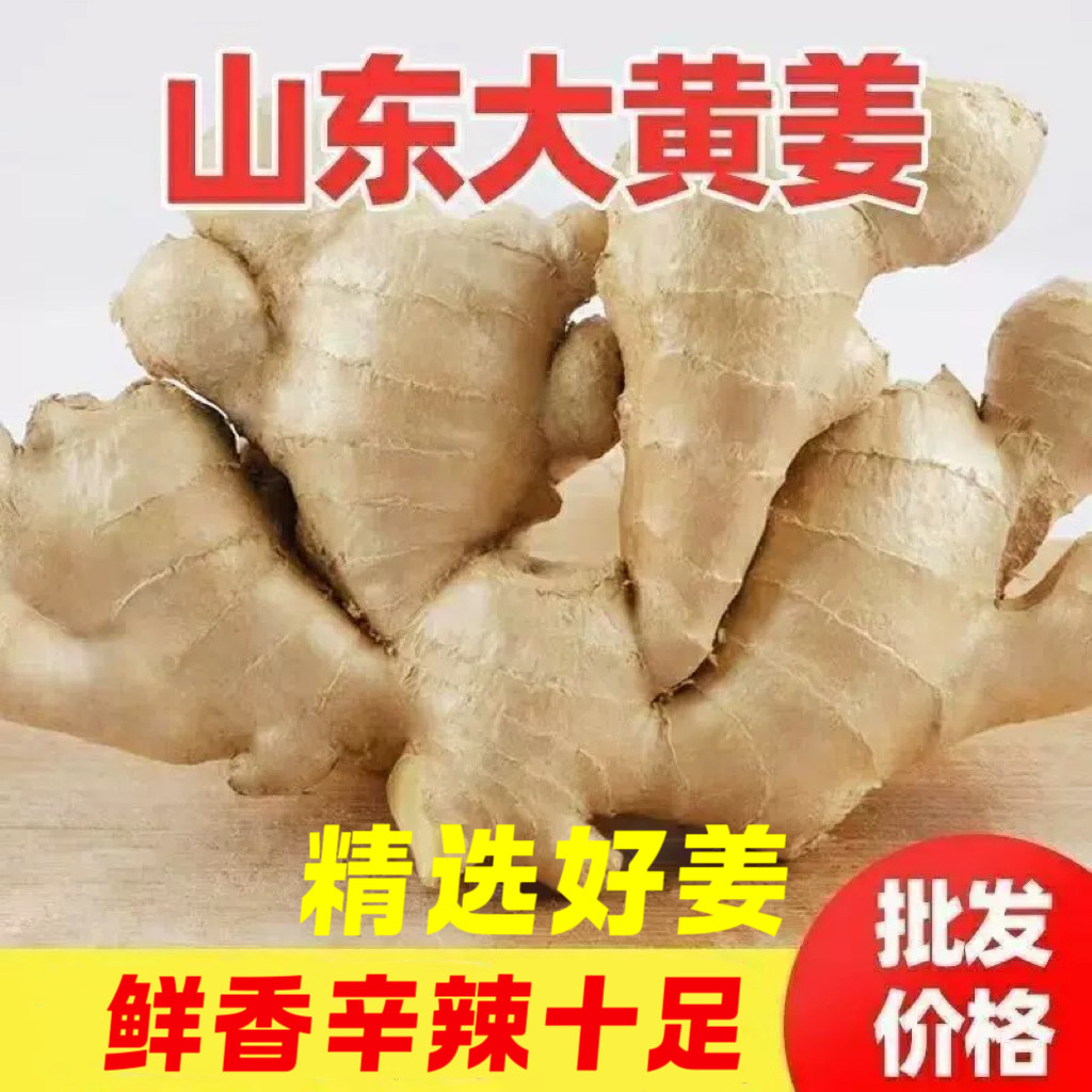 山东老姜生姜姜块黄姜月子姜特产生姜水洗风干无硫磺批发农场种植