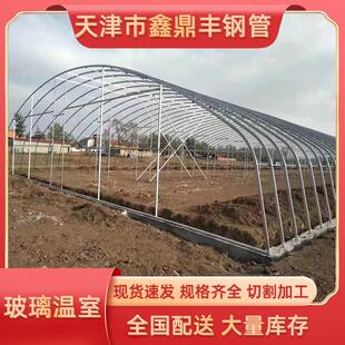 天津厂家承接蔬菜花卉种植内外遮阳简易单体拱棚连栋温室大棚及配