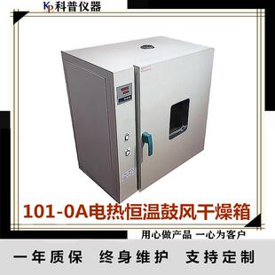 0A电热恒温干燥箱电热恒温鼓风干燥箱内胆铁板喷塑 供应101