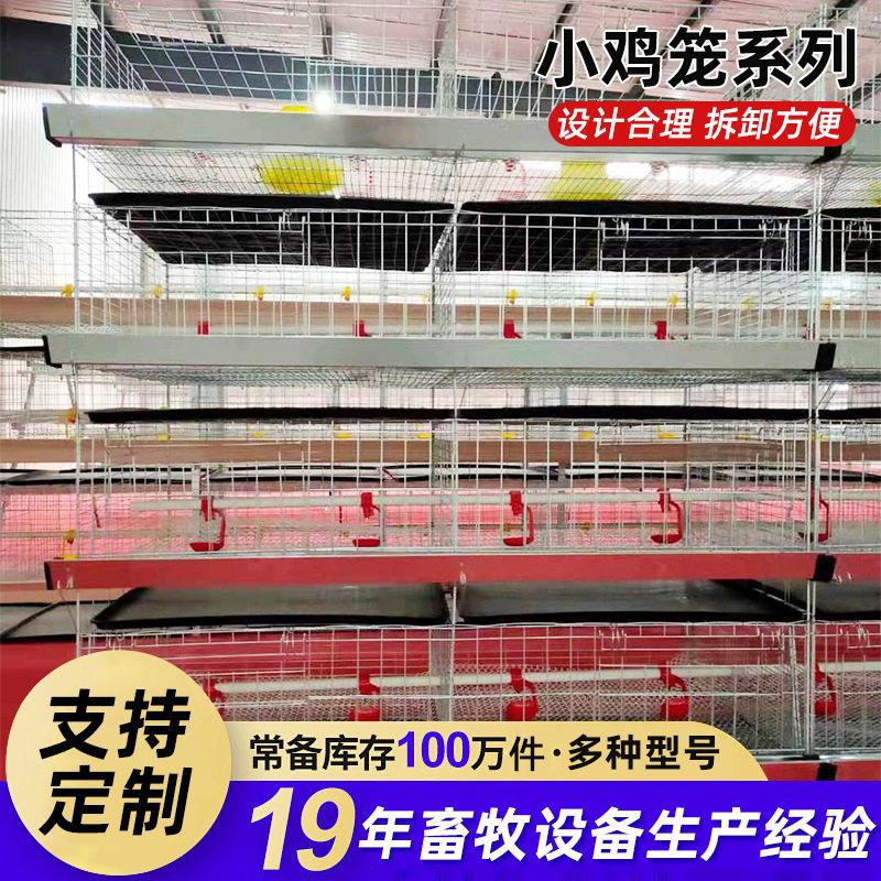 小鸡笼育雏笼4层幼苗鸡笼立式大型养殖场加粗加密含水食槽接粪盘