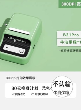 精臣B21Pro高清照片打印机300dpi小型黑白图片相片手账贴纸标签机