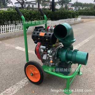 柴油手推6寸抽水小型便捷式 小型排污泵 离心泵4寸3寸耐腐增压泵