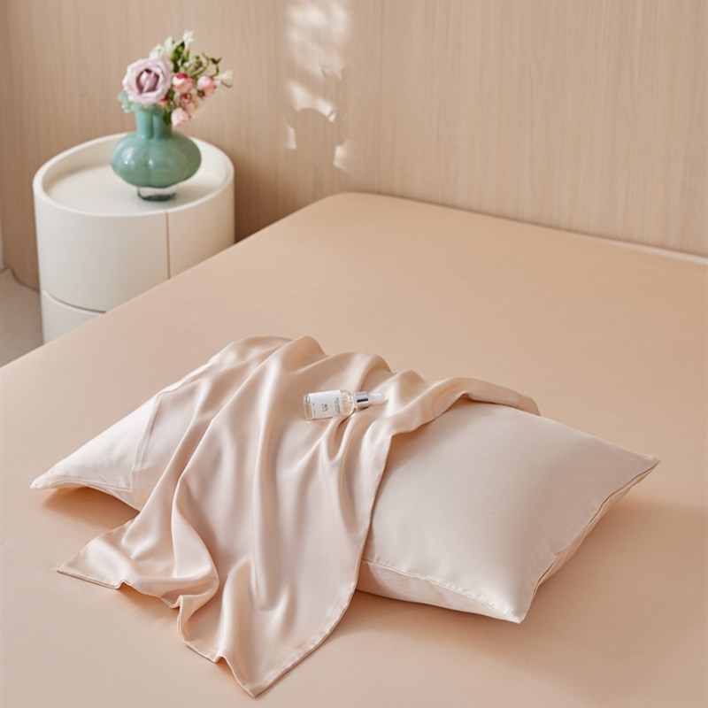 简约风6b0支兰精天丝单人枕套1只装 凉感枕头芯套一对拍2家用48x7