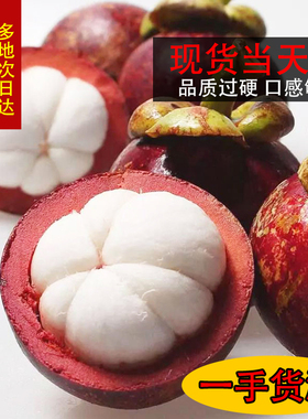 泰国进口山竹5A级6A大果当季热带时令肉嫩新鲜生鲜水果